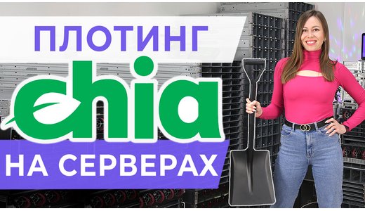 Чи можна викоритсовувати сервери для платінгу Chia